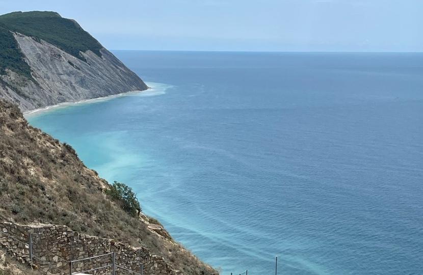 Фото к новости